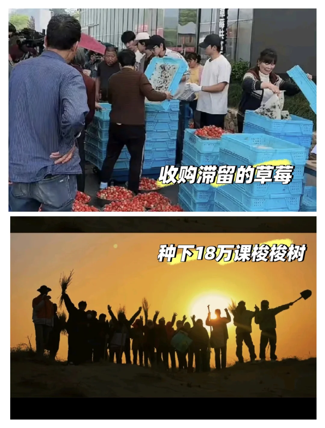 让农业做大做强！
