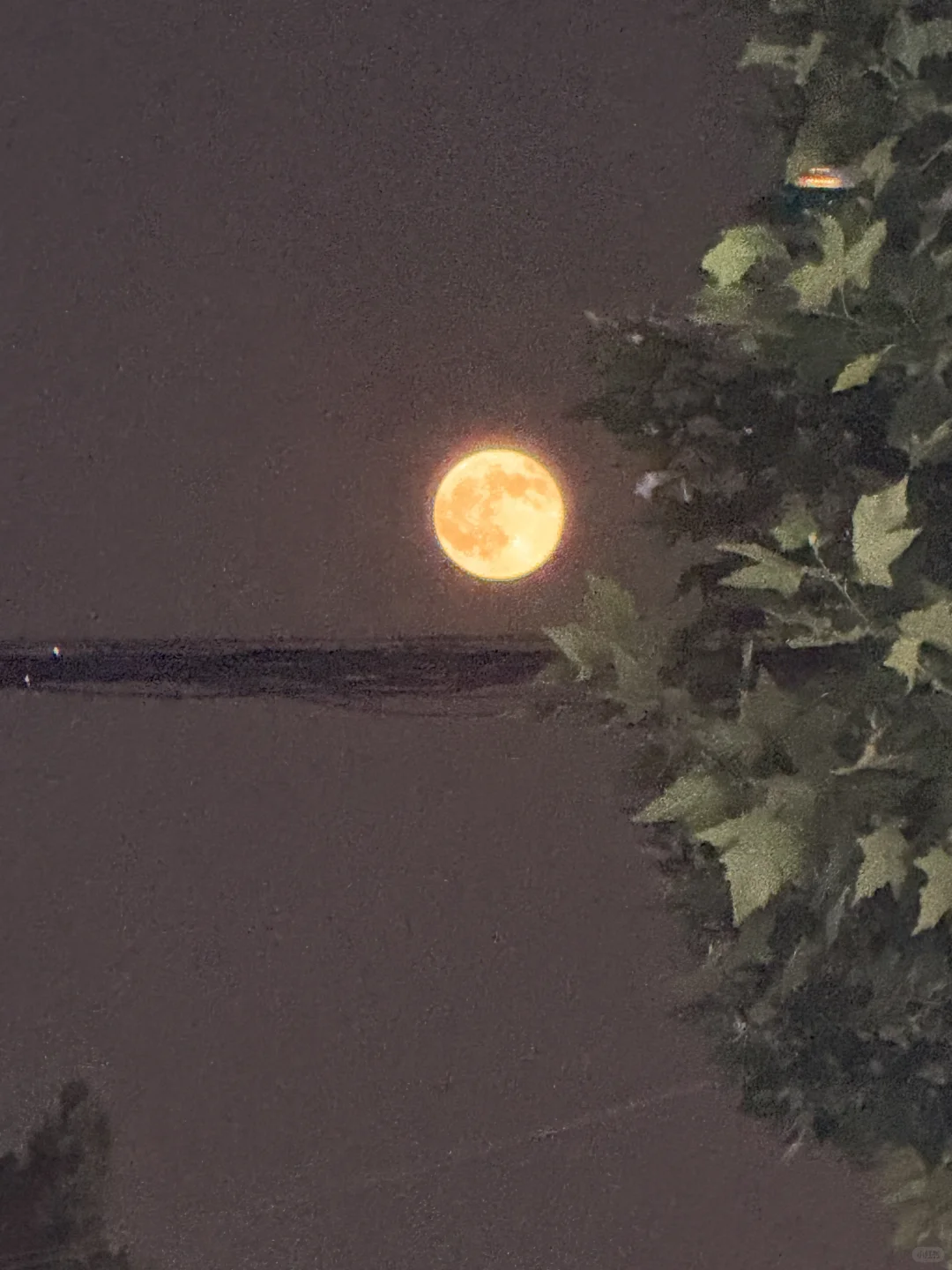 秋招压力真的好大….