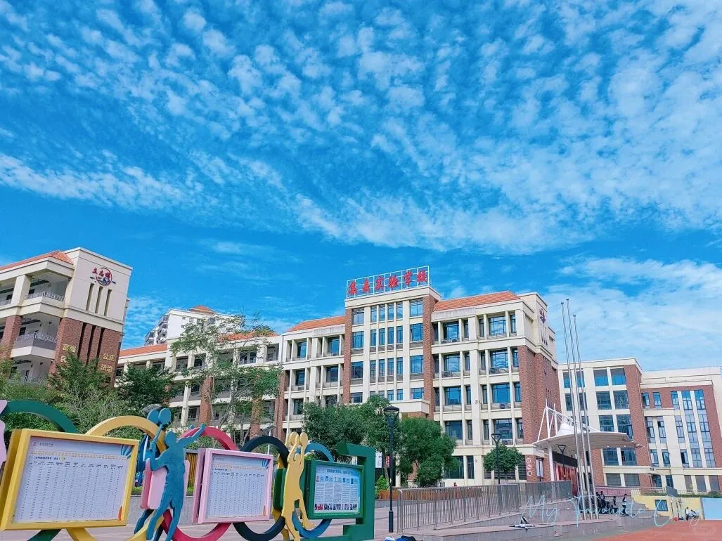 含图书管理岗！厦门集美实验学校招聘3人