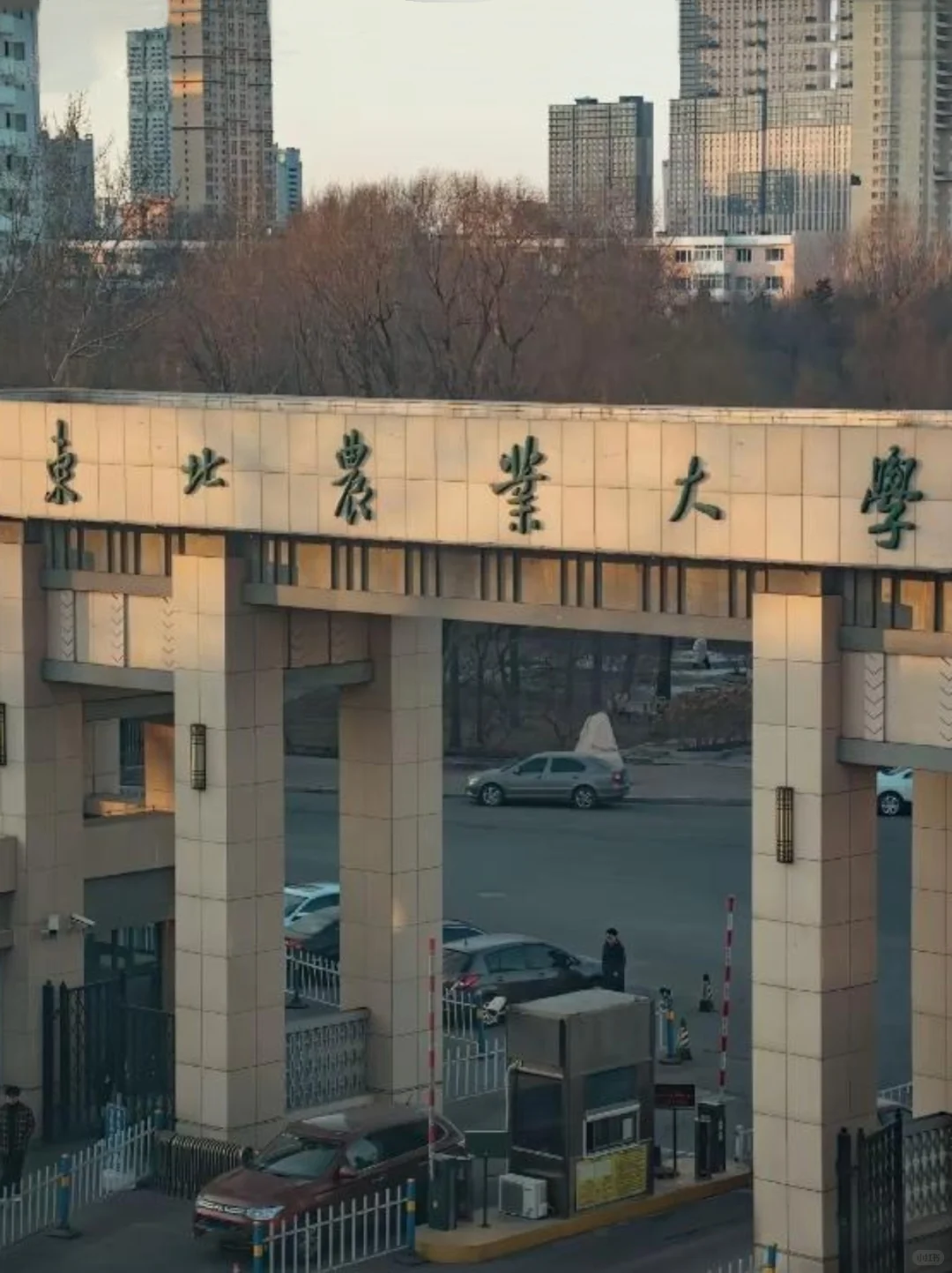 硕士进高校，原来上岸东北农业大学这么简单