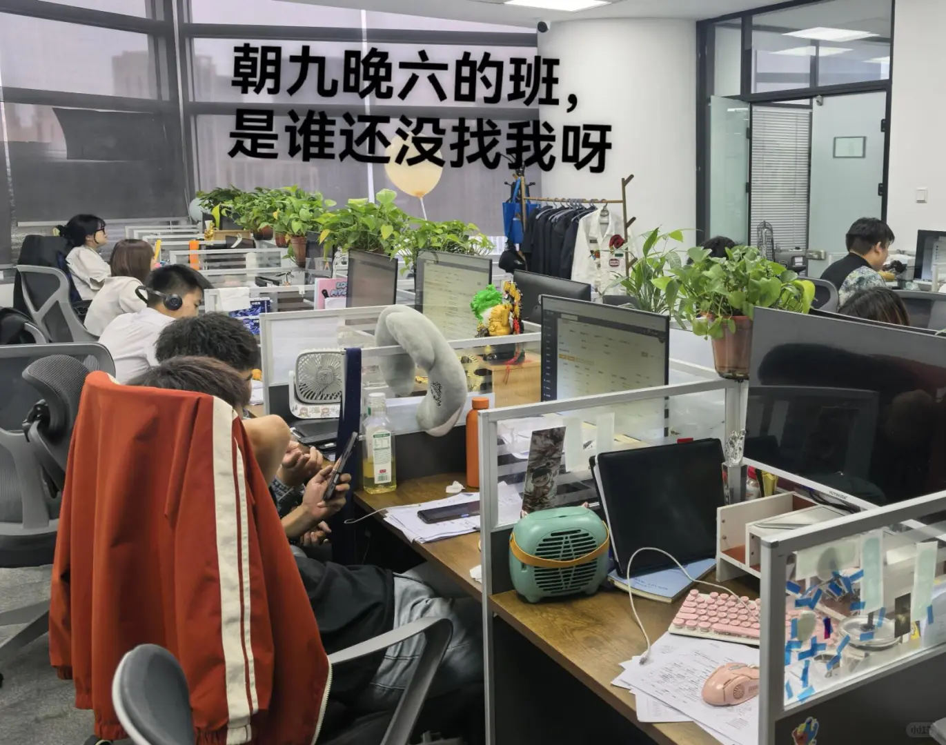 日常招聘中，快来和我一起上班吧