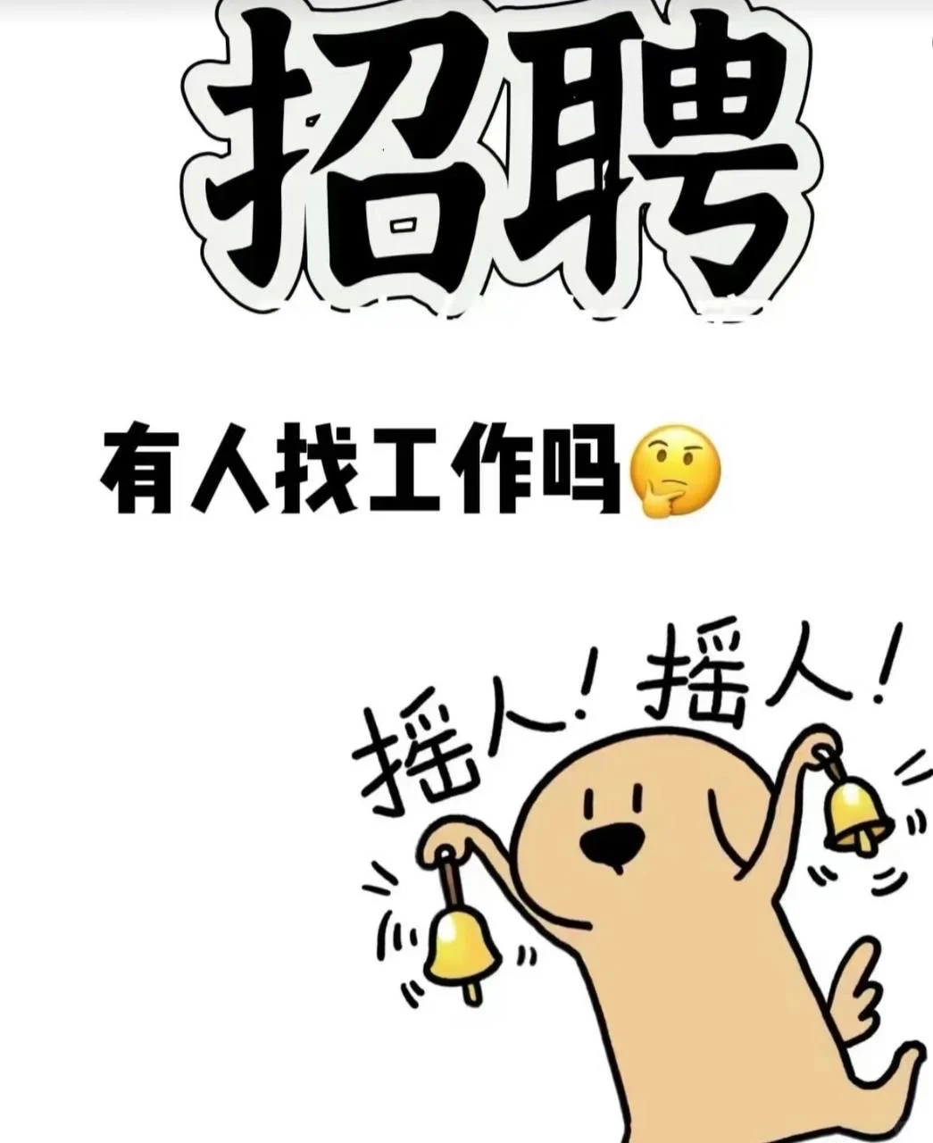 公司招聘人才🔥