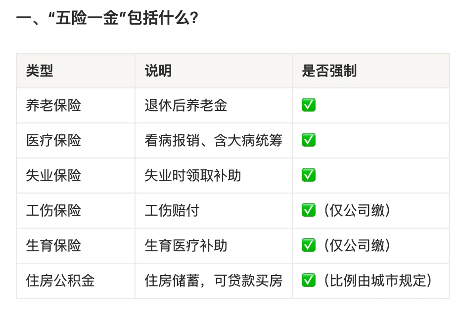 秋招篇：AI 助你了解五险一金