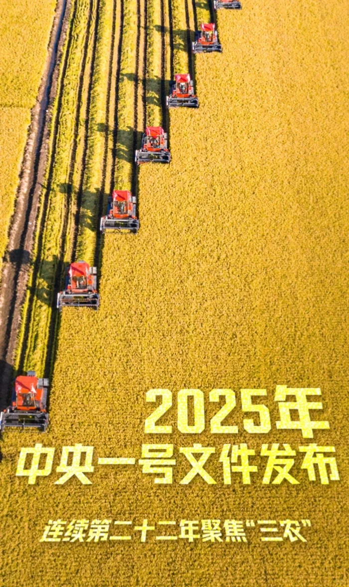 2025年中央一号文件发布
