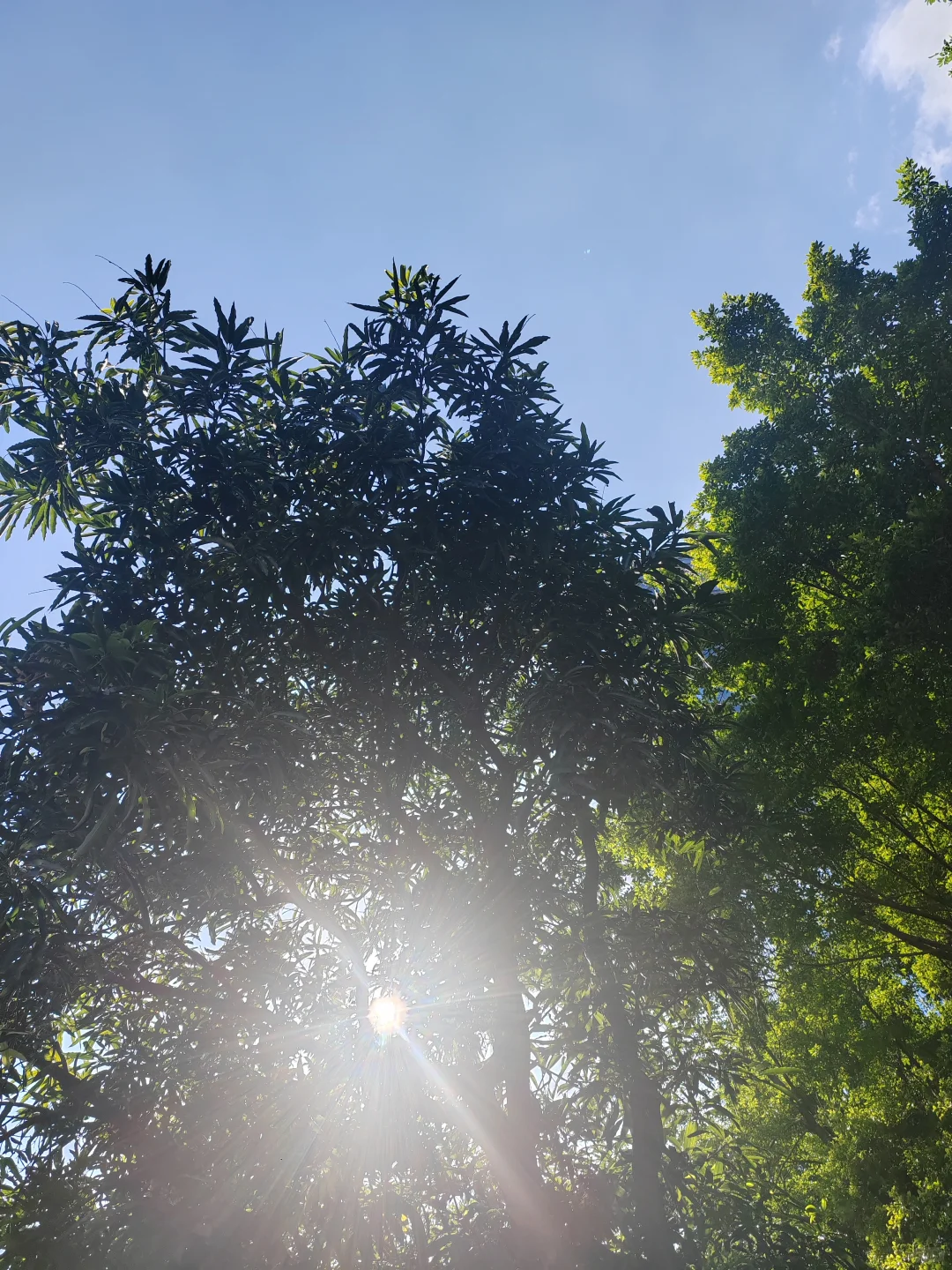 亲爱的陌生人，可以宽慰一下我吗