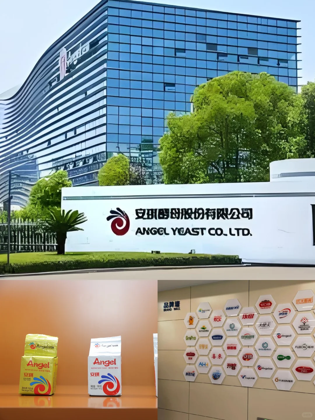 安琪酵母实习秋招有人要来嘛？接受无经验