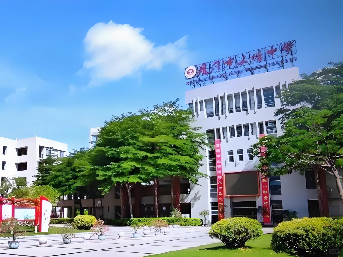 厦门集美区，办公学校招聘4人，直签合同！