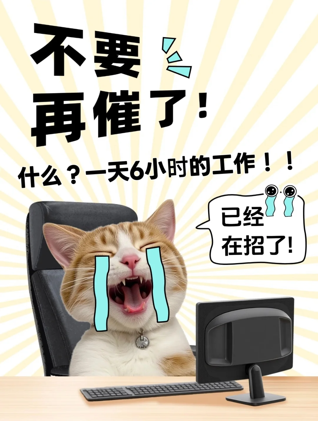 啥！汕头龙湖区一天6小时的工作不香吗！