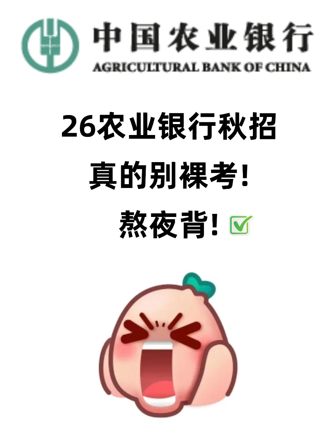 26农业银行秋招，没必要裸考，熬夜背必过❗