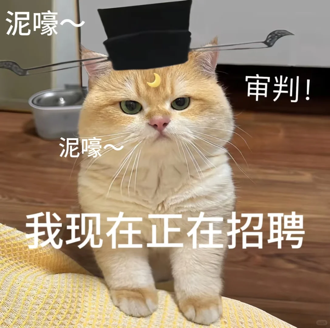 💼 招聘季来啦！轻松高薪职位大揭秘