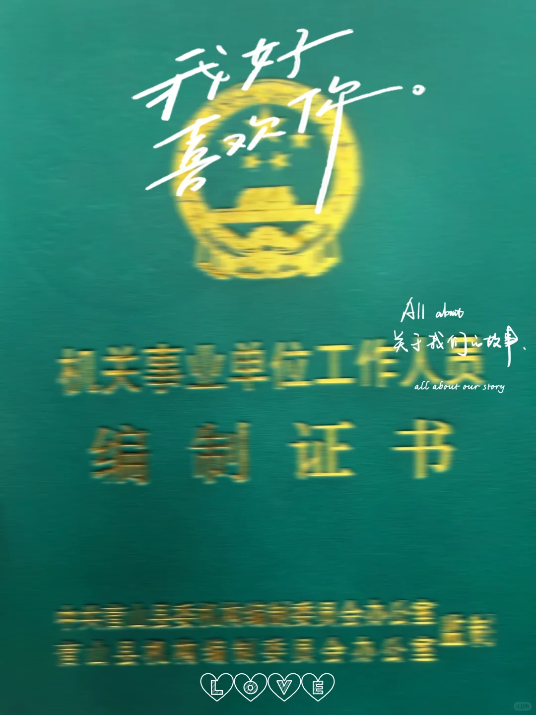 “阿编，我们的第一年开始了”
