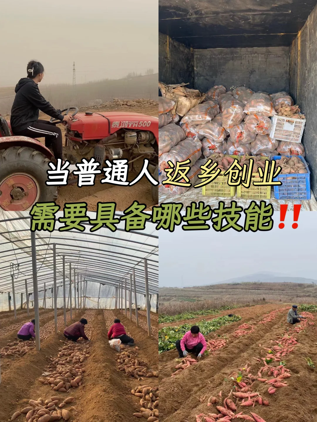 普通人返乡创业｜需要具备哪些技能‼️