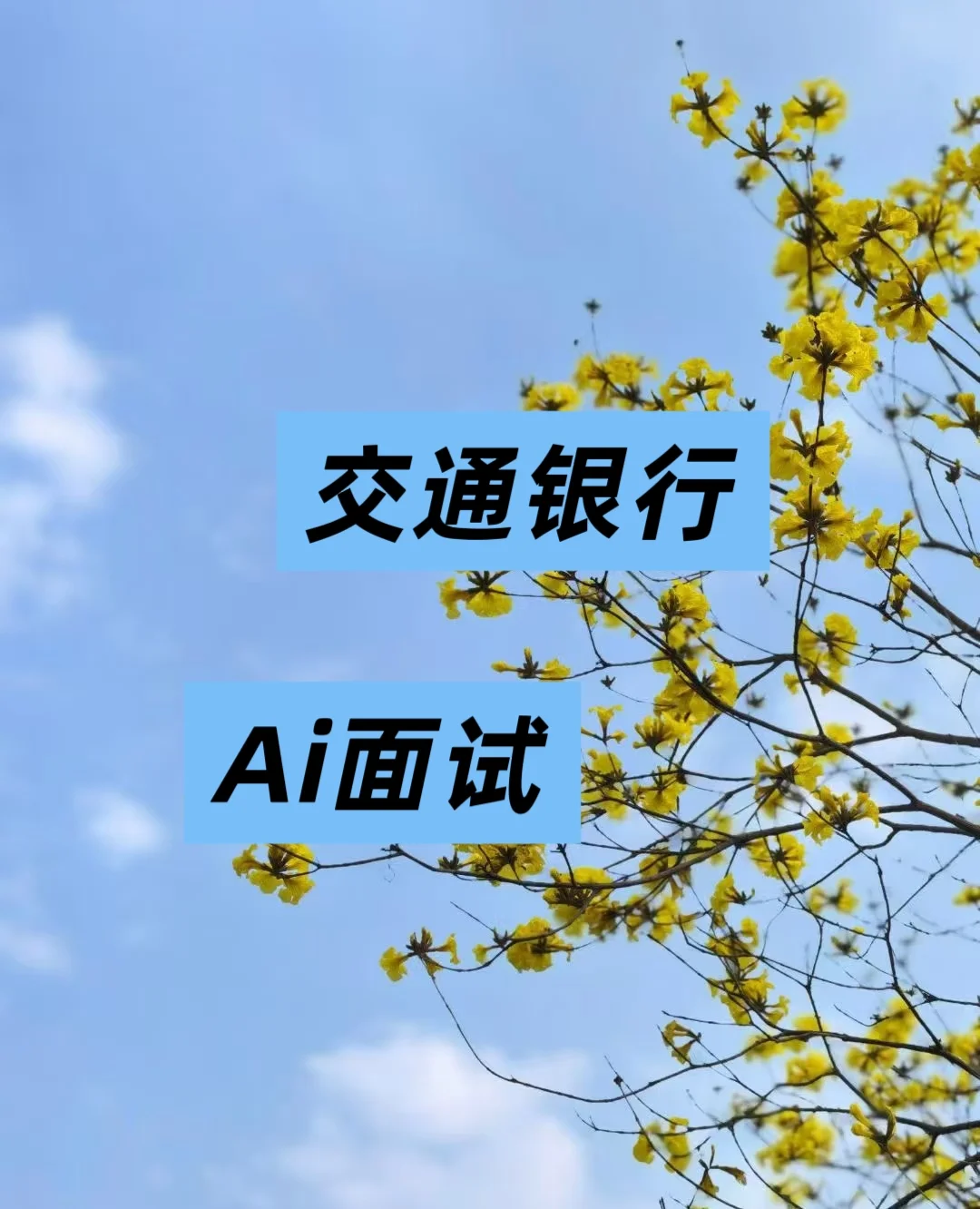 交通银行Ai面试