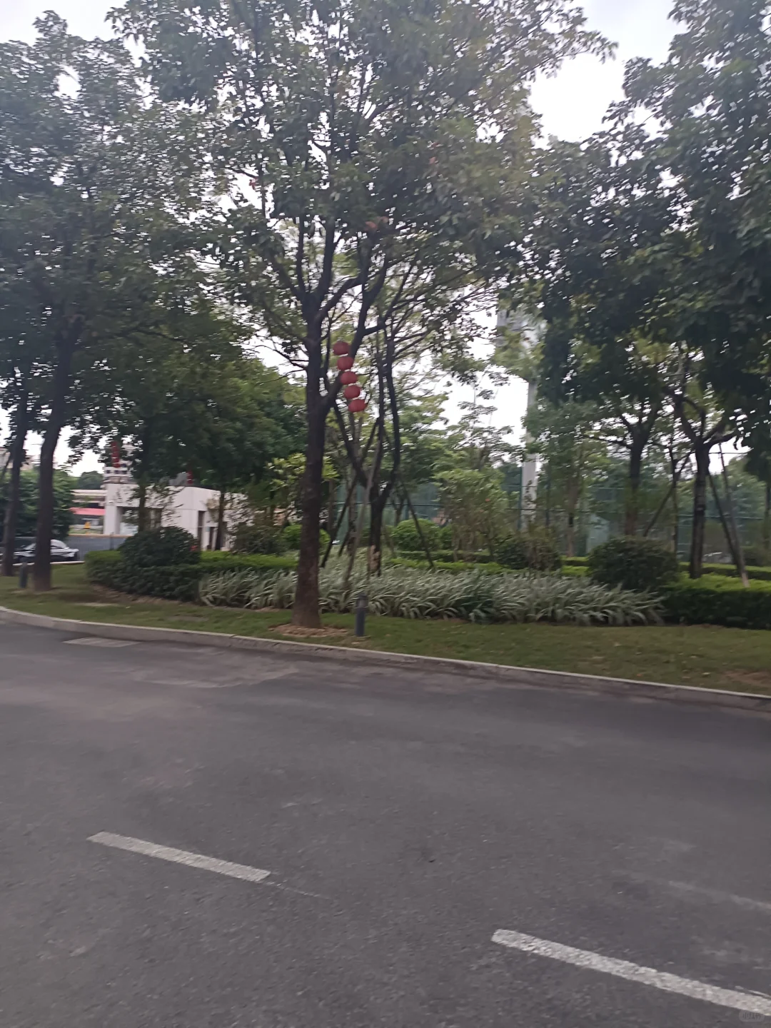 实习跑路了...