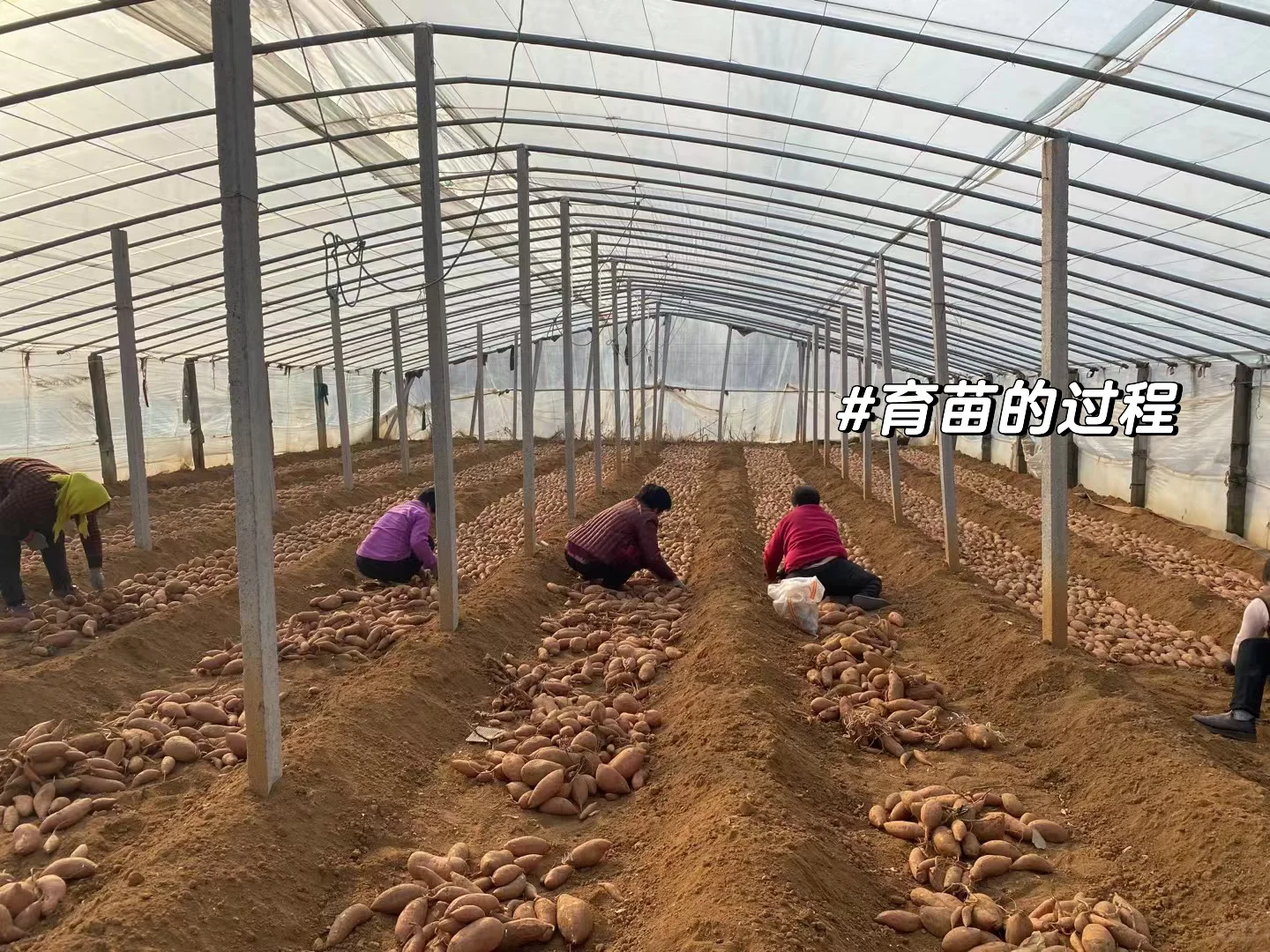 普通人返乡创业｜需要具备哪些技能‼️