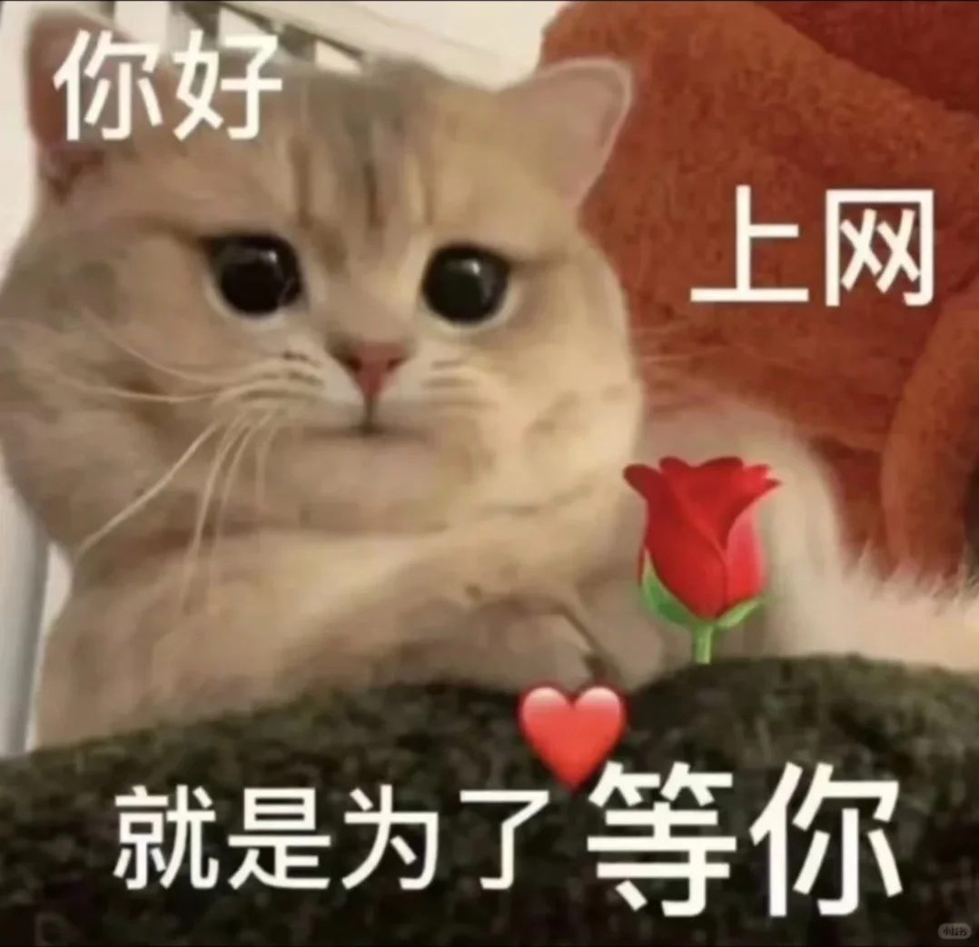 这是一条诚恳的招聘：