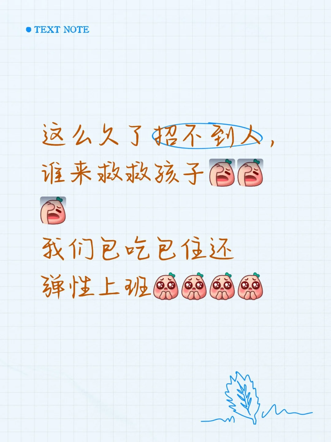 传媒公司招聘