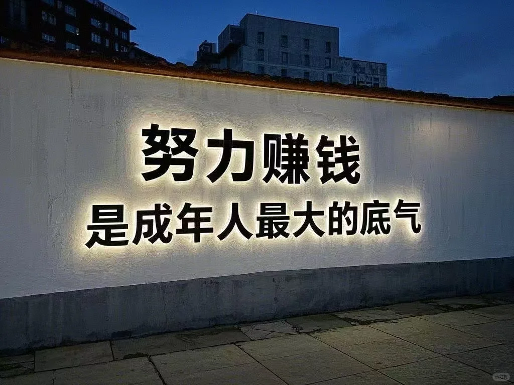 努力赚钱是成年人最大的底气