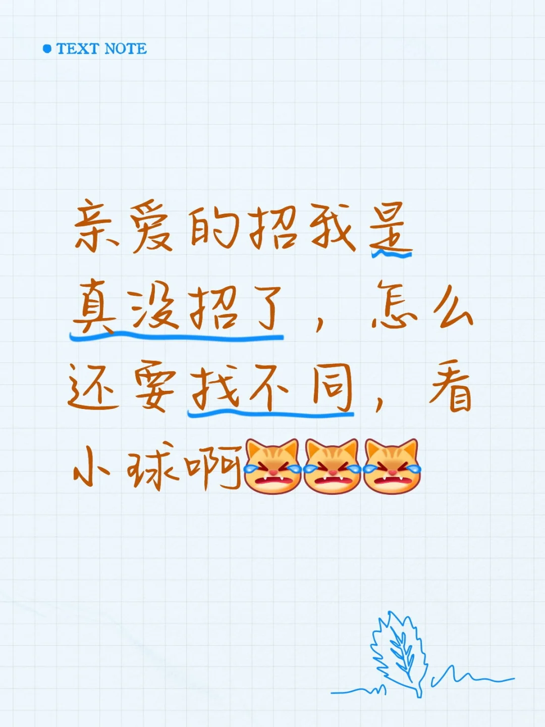 亲爱的招