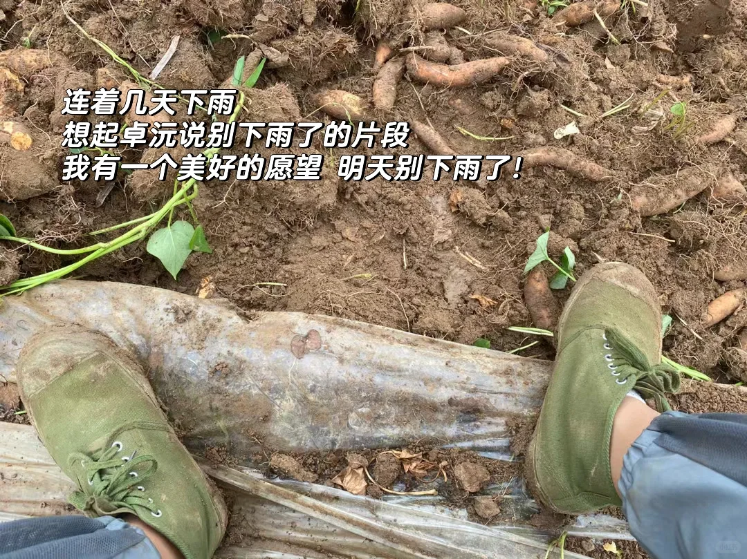 普通人返乡创业｜需要具备哪些技能‼️