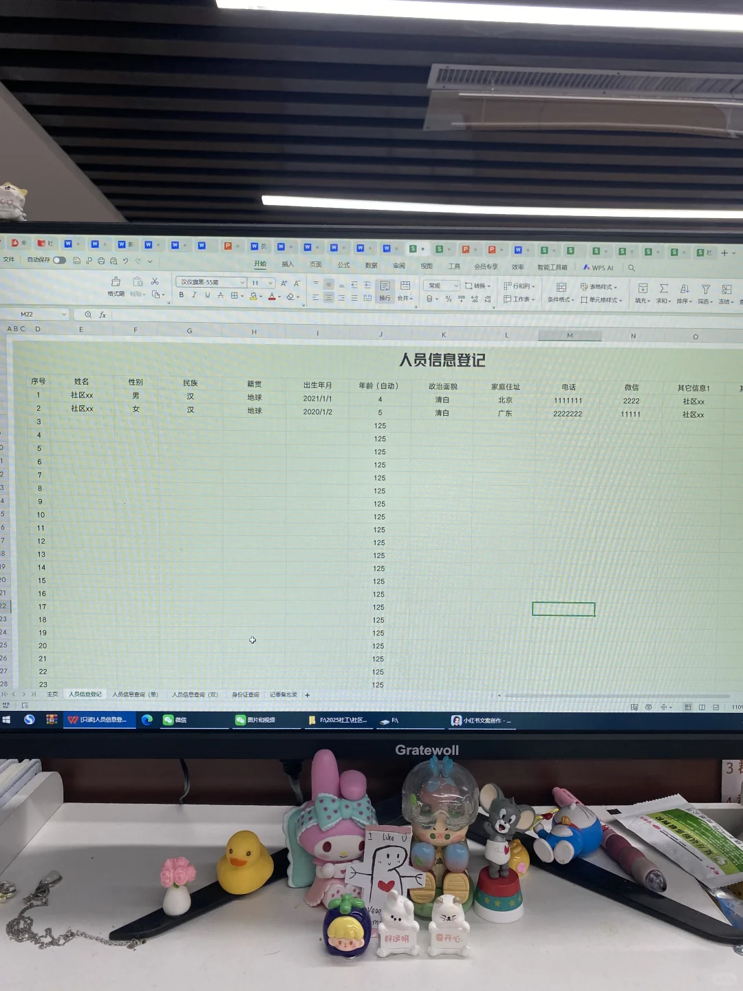 前社区书记留下的人员信息登记系统，真的牛
