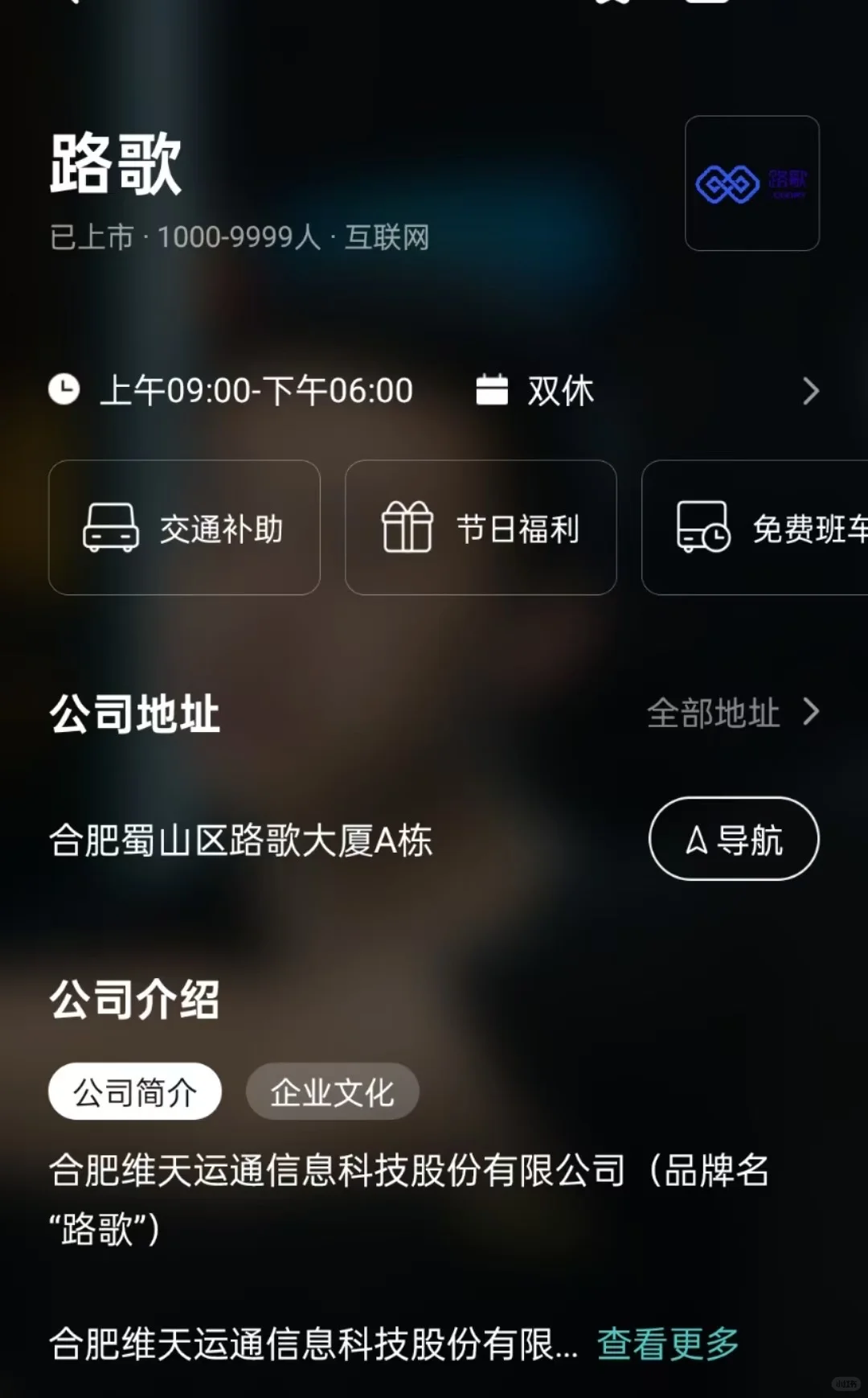 合肥双休公司总结