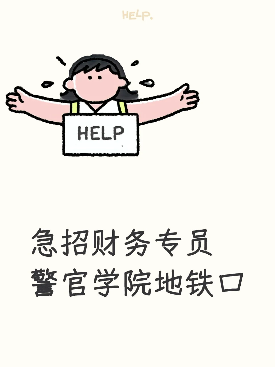 急招财务专业助理