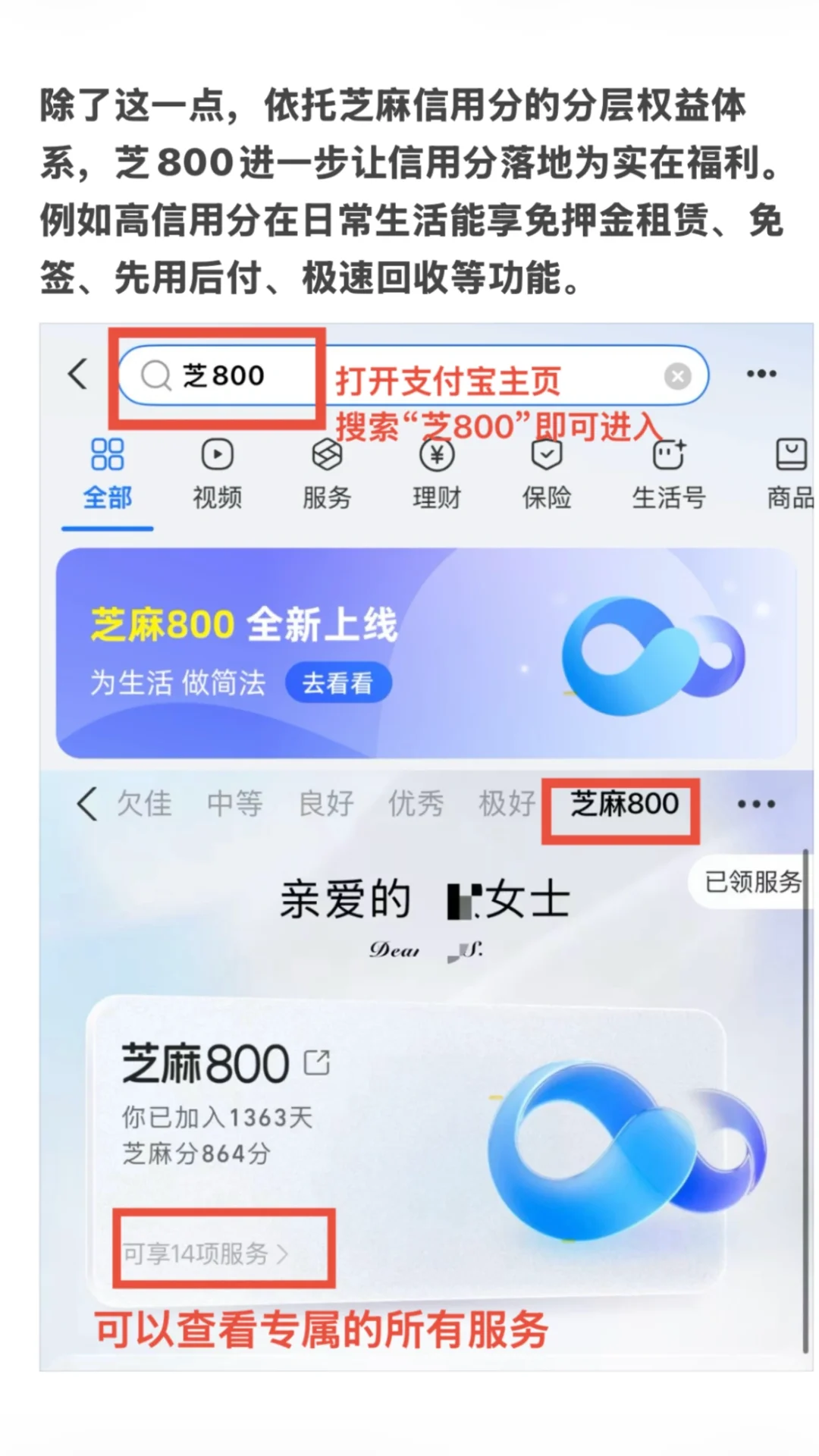 帮你一个月快速拿到offer（实操版）