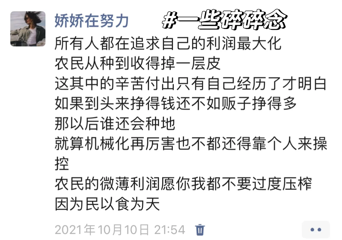 普通人返乡创业｜需要具备哪些技能‼️