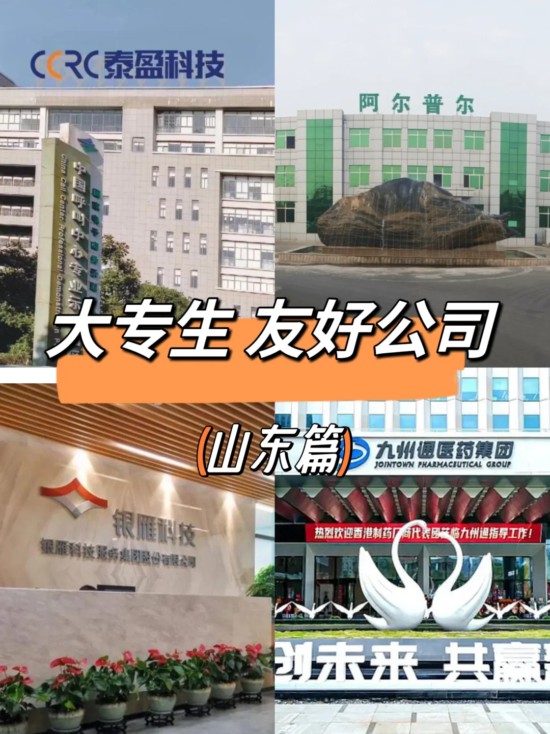山东大专生可以去的公司，一起看吧
