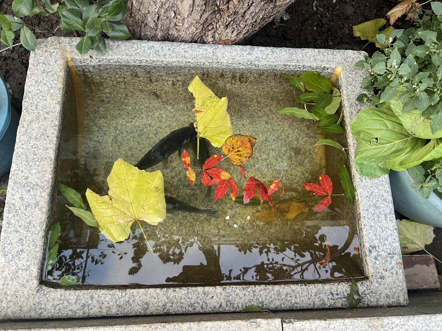 在吉林当主播的日子