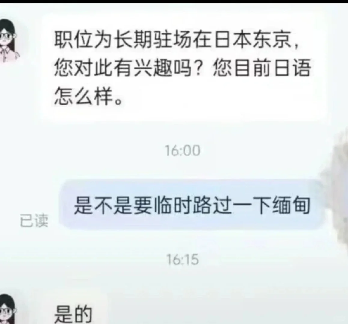 《boss不聘13》