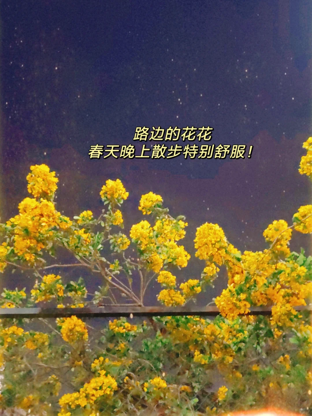 亚马逊 | 聊聊跨境电商公司的细分岗位