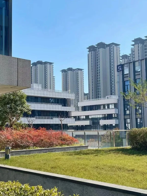 西咸新区沣东九小招聘啦