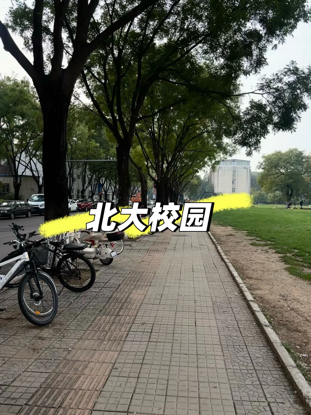 教师编-广州优才-上岸❤️