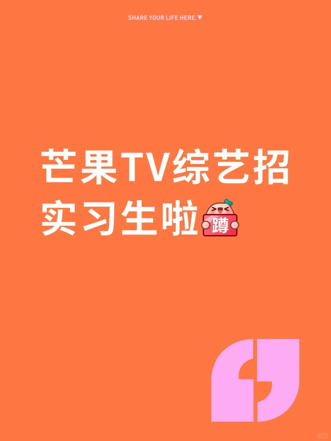 赐我一个实习生伙伴吧