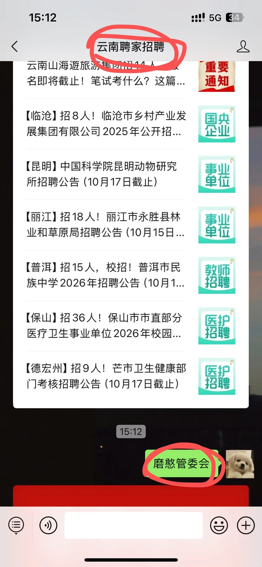磨憨合作区管委会招39人笔试考什么？