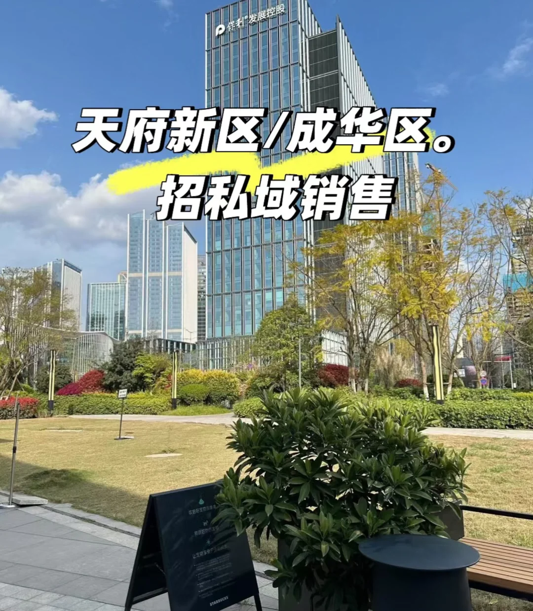 公司扩张，双休招聘