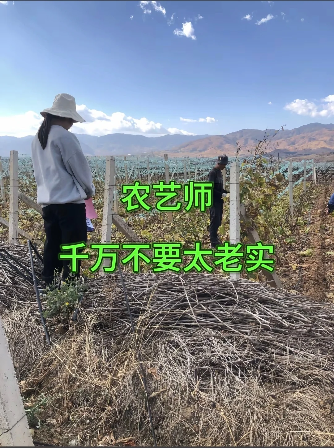 农艺师千万不要太老实！