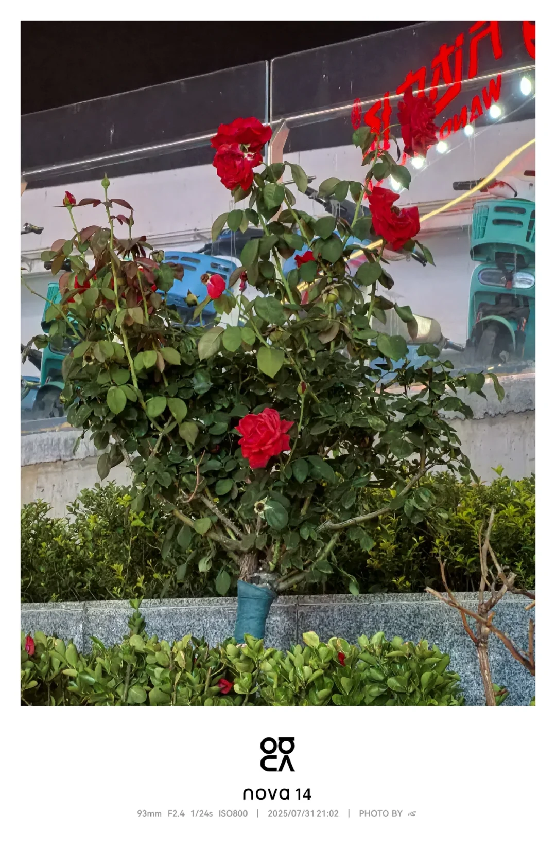 就业见习你骗得人好惨