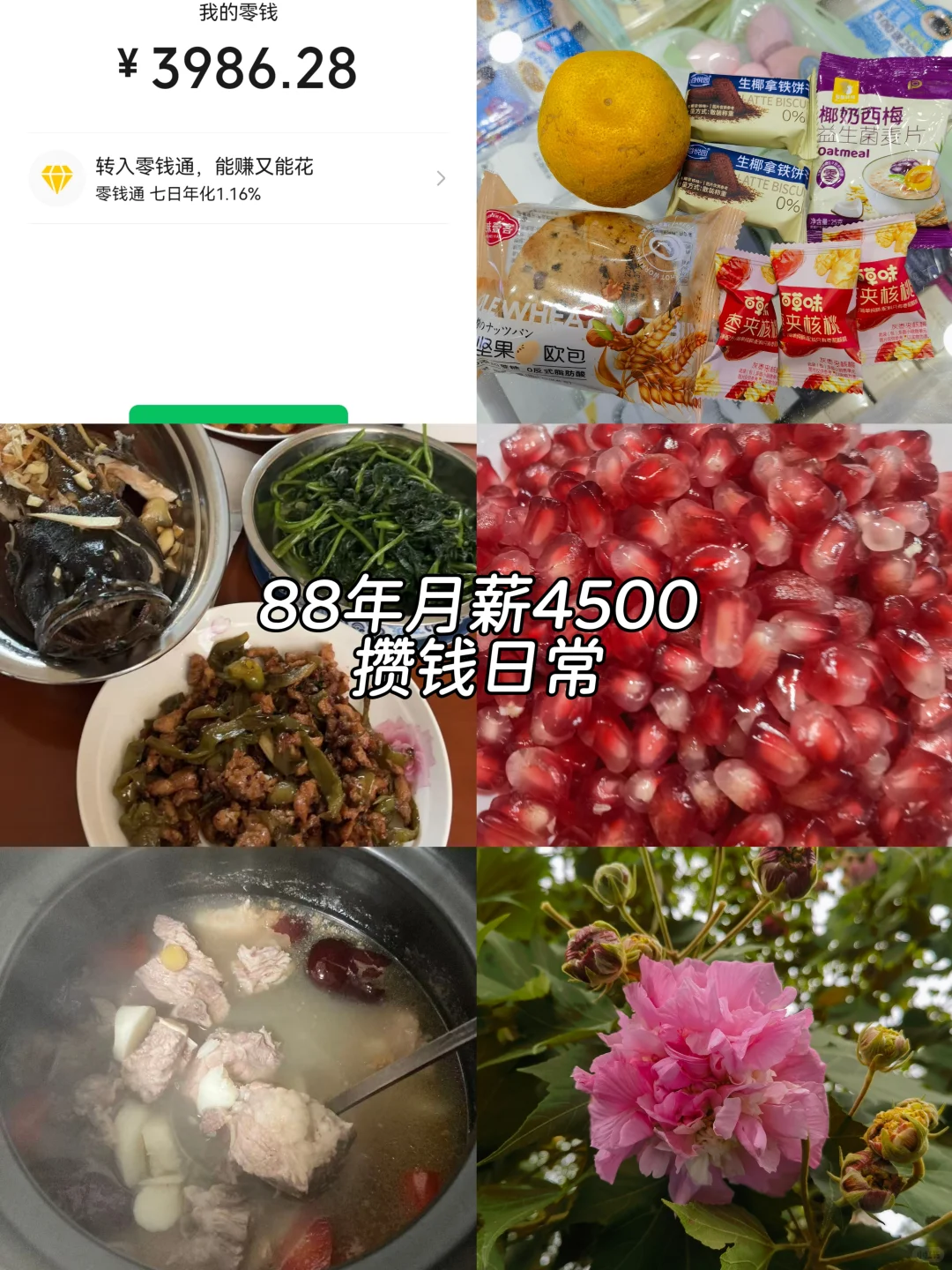 88年月薪4500存钱日常，生活的幸福感