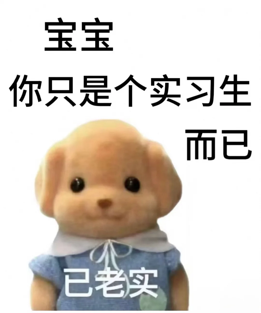 怎么才能度过实习期啊