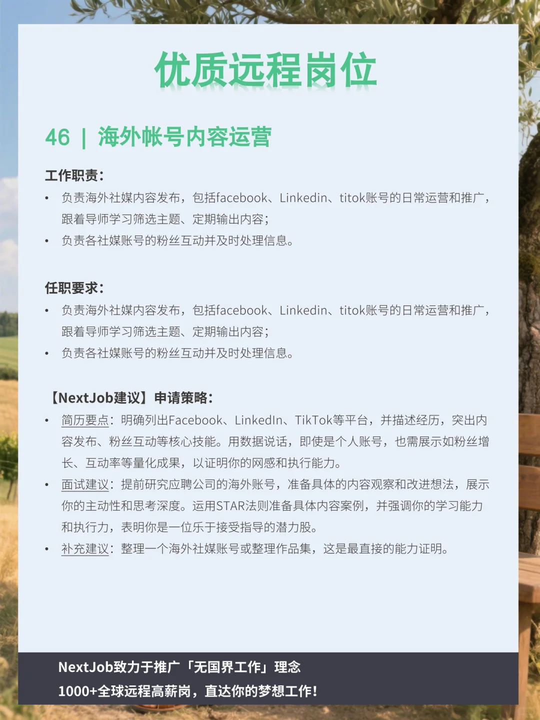 👩🏻‍💻开发&运营类 远程机会继续