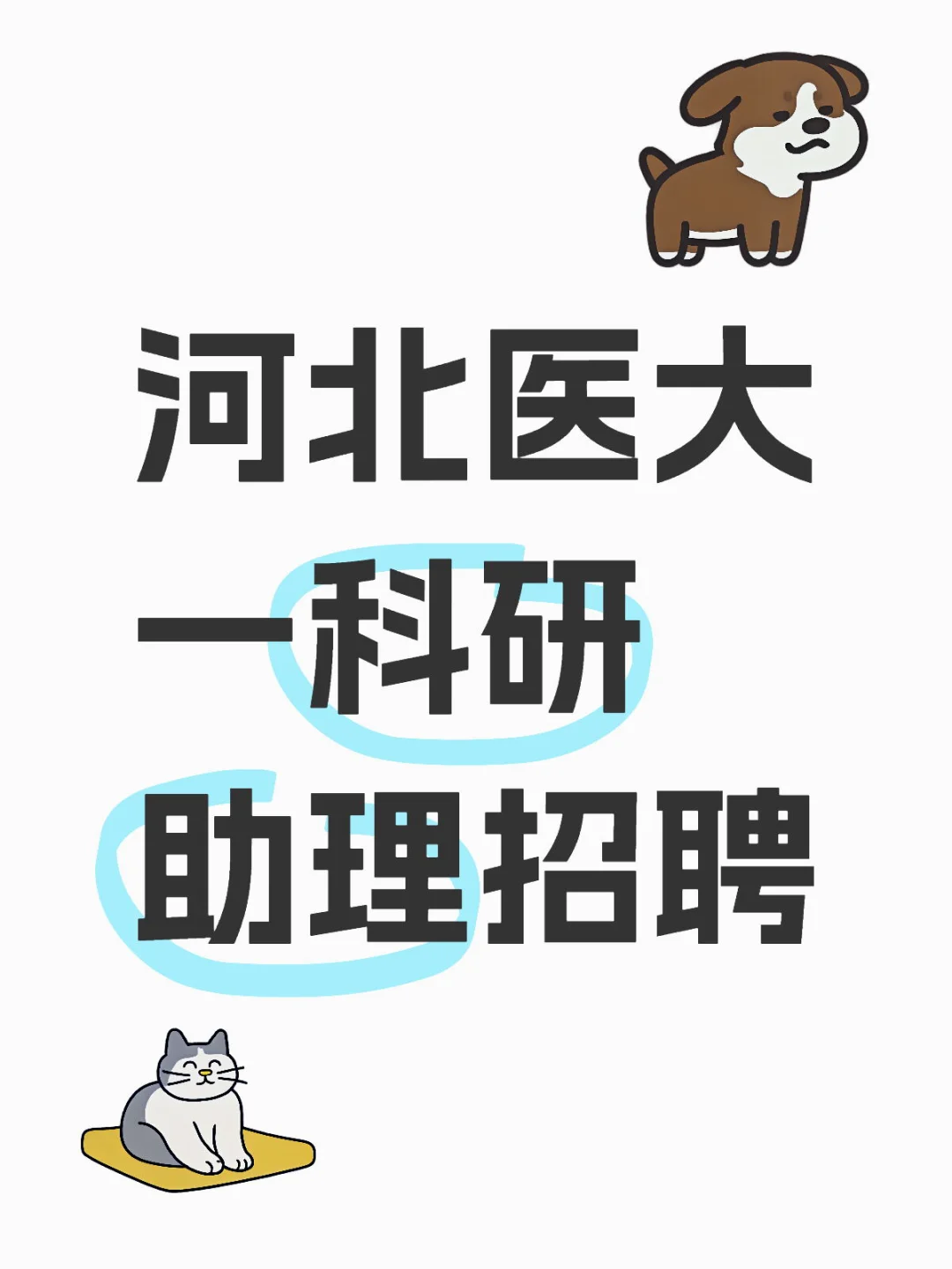 河北医大一科研助理招聘