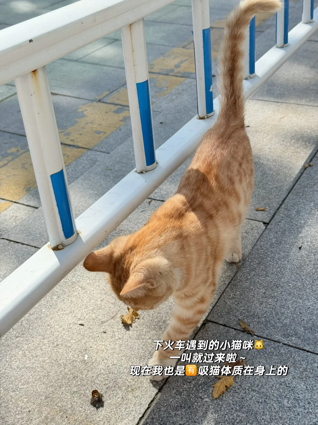 医学生找工作｜参加招聘会要提前准备什么？