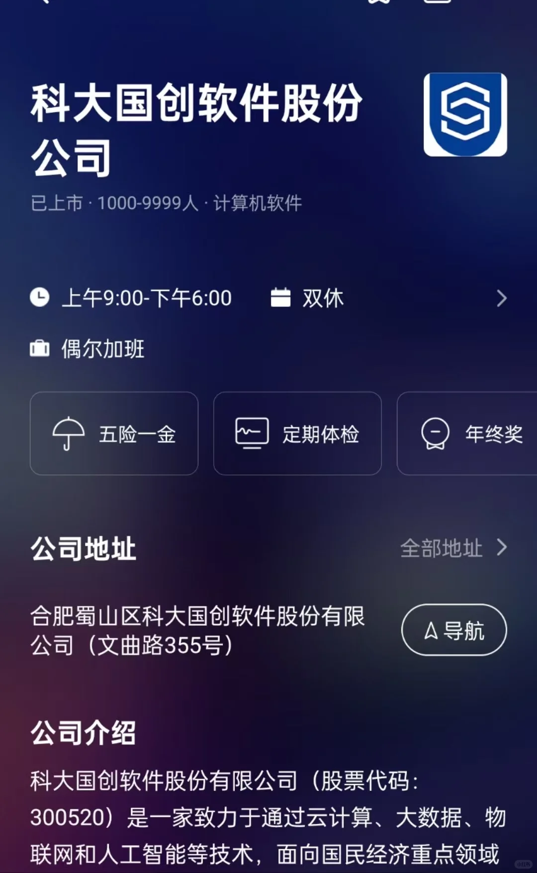 合肥双休公司总结