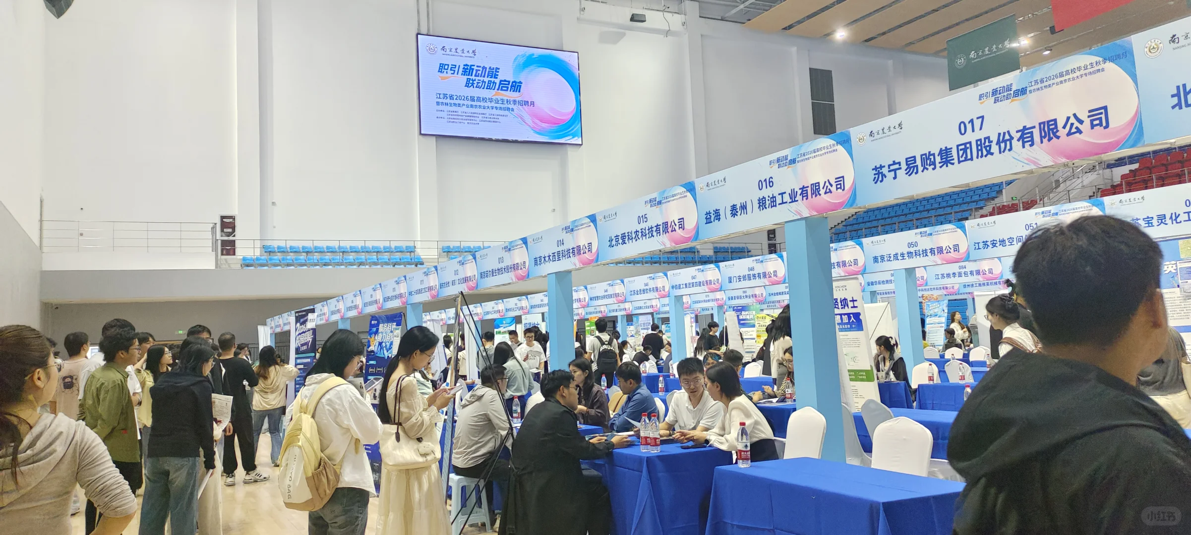 关于周五的招聘会小记