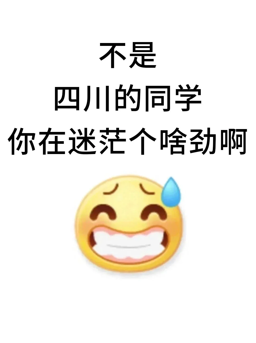 不是，四川的同学你在迷茫个啥劲啊！