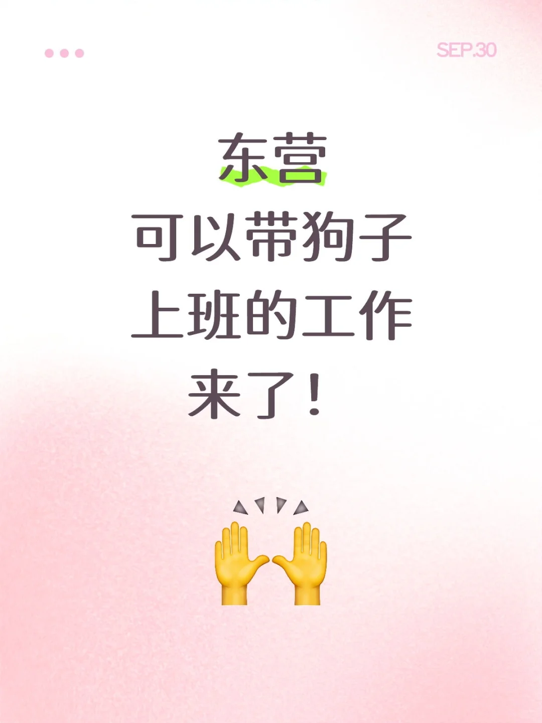 东营携宠上班