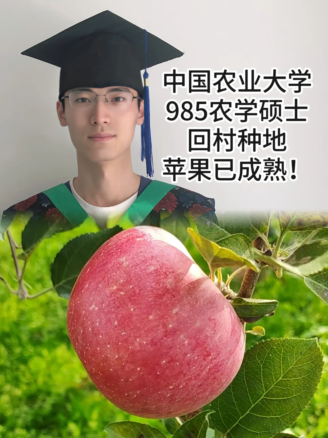 中国农业大学硕士种苹果，已成熟